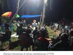 Ratusan Massa Menginap di Kebun Sawit PTPN 7 Bekri Lampung Tengah